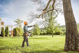 How Our Tree Care Process Works  in  Orfordville, WI